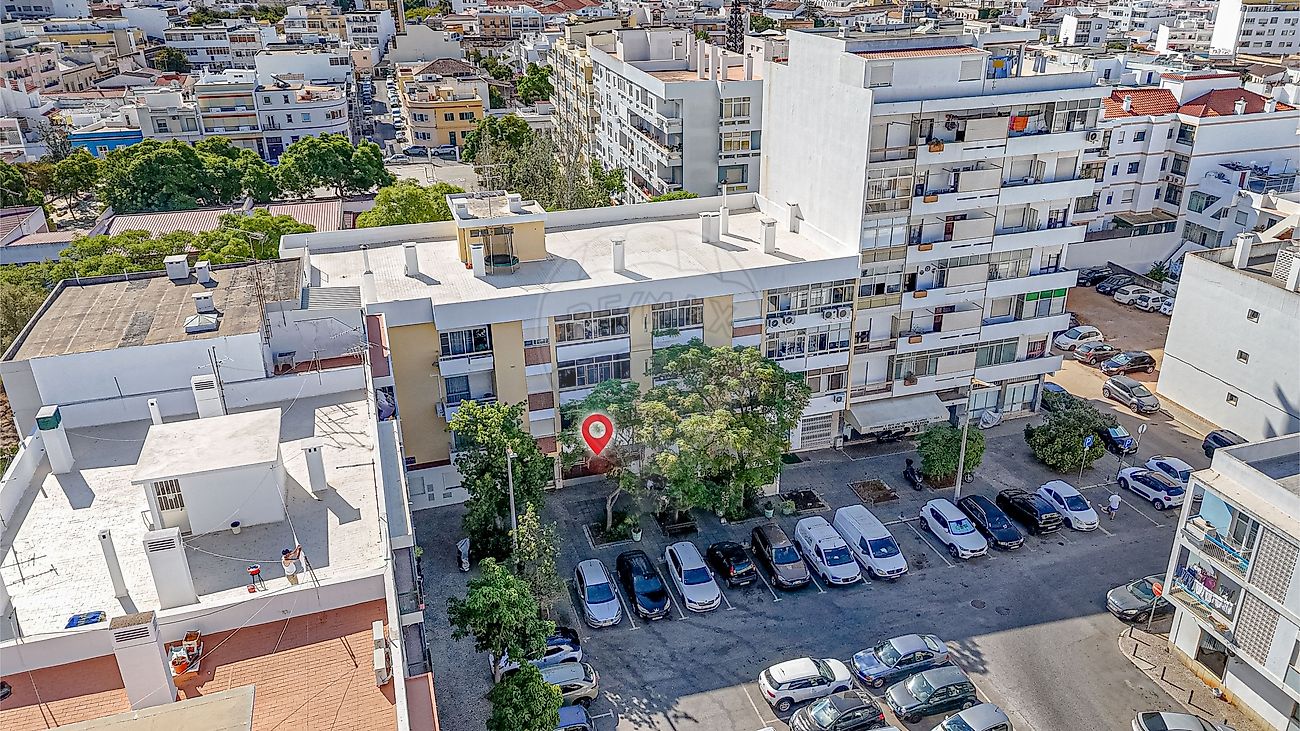 T2 para renovar